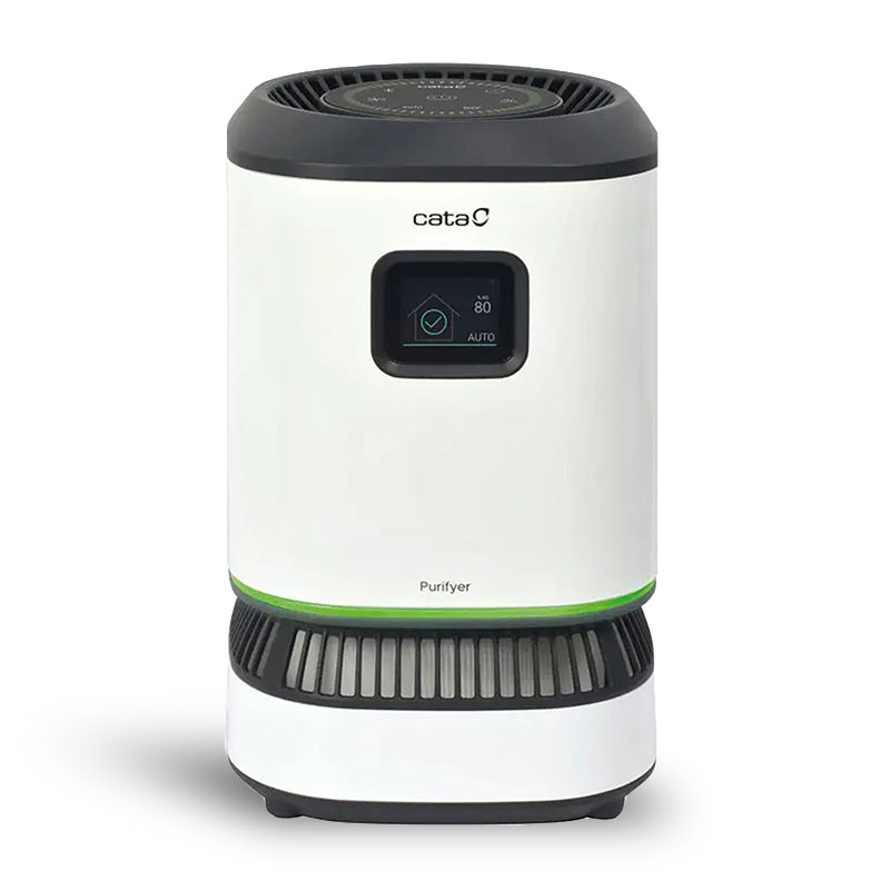 Очиститель воздуха Home Flow